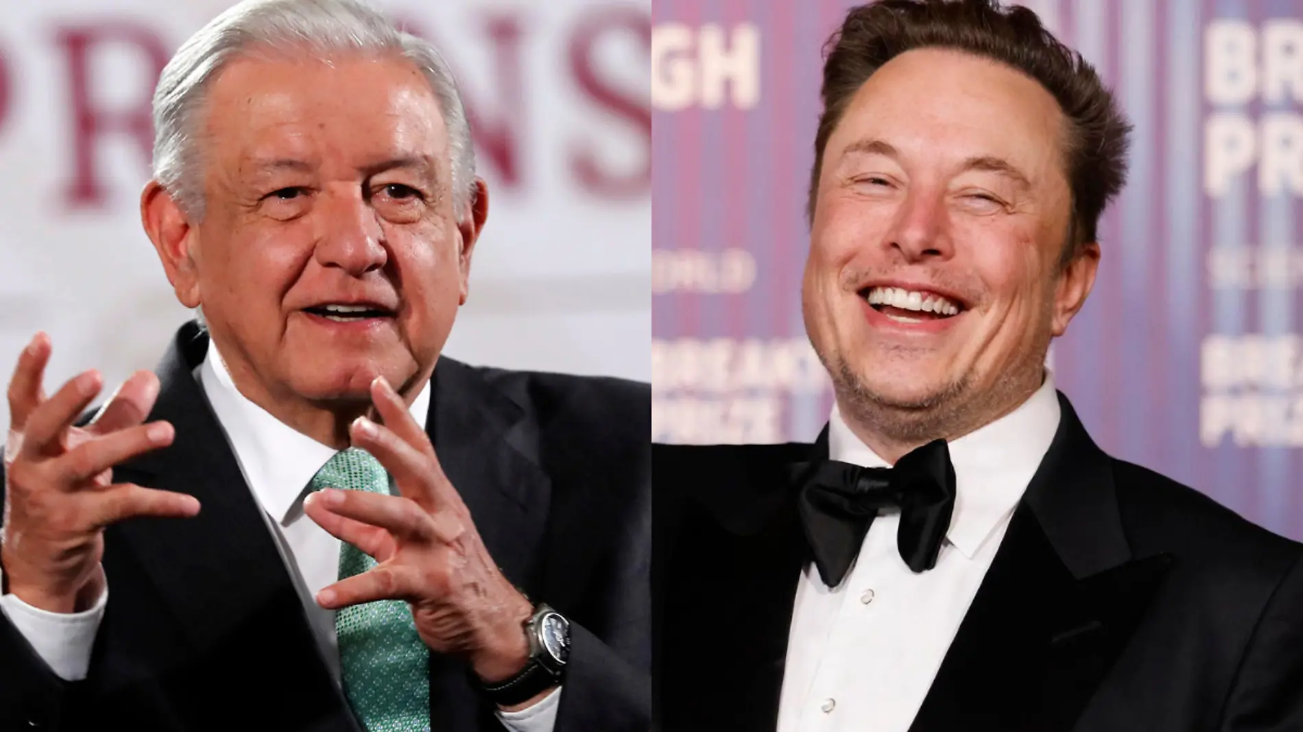 AMLO - Elon Musk